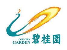 碧桂园集团