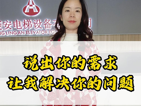 2月19日电梯厂家