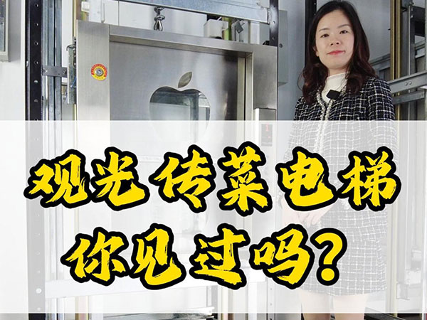 1月26日观光传菜电...